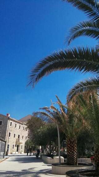 Апартаменты Apartman Ozi Петровац Апартаменты-25